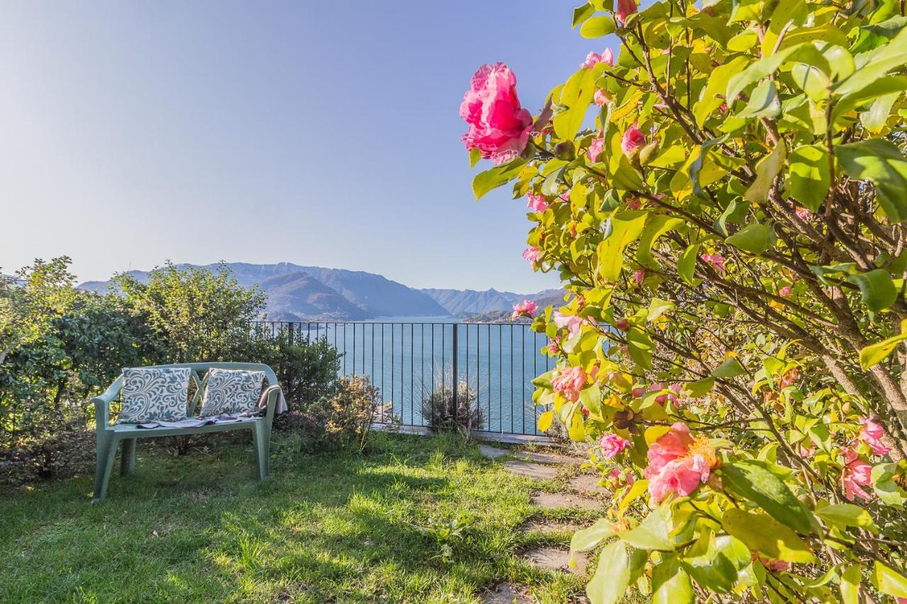 Palma Romantic Dream Perledo Zewnętrze zdjęcie